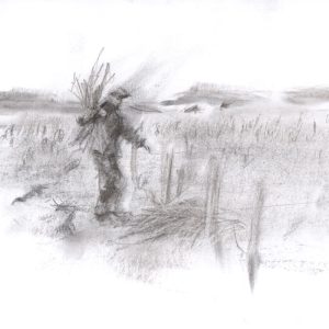 10- Taillage 6