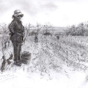 28- Plantations 1