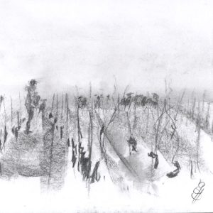 03- Eco-pâturage 1
