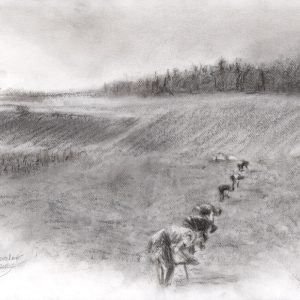 31- Plantations 4