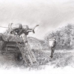 49- Vendanges 6