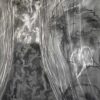 Le Mouvement Dans le Vin 2 (ça vibre) - Thumbnail Image 2