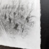 04- Eco-pâturage 2 - Thumbnail Image 3
