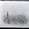 04- Eco-pâturage 2 - Thumbnail Image 2