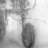 60- Vendanges 17 - Thumbnail Image 2