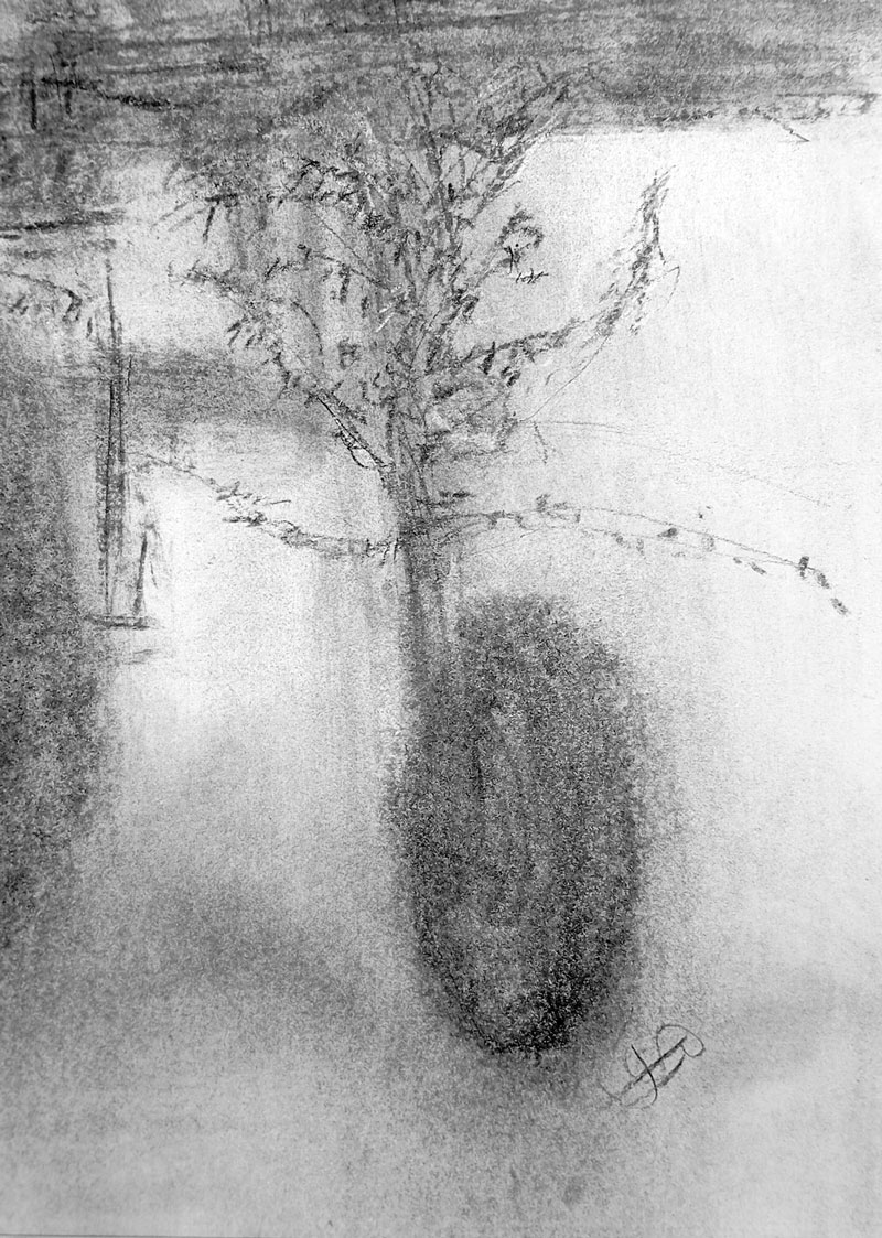 60- Vendanges 17 - Image 2